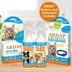 Ardap Spot-On Für Katzen S -ROYAL CANIN Verkaufsgeschäft 178d15ac9da3c3d9fa67232babf72025c6818bc9 1150895 de DE 986a55c9a154810fd460d41d158e3ced050ed285C5pfll