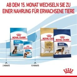 ROYAL CANIN Maxi Puppy 10x140g 12 ROYAL CANIN Maxi Puppy 10x140g -ROYAL CANIN Verkaufsgeschäft 17d6a46cce4fc07e8a098006747b779e3adfee9e 3182550402163 7
