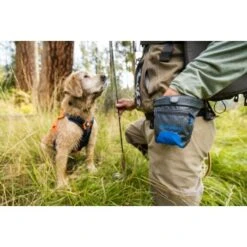 Ruffwear Treat Trader™ Leckerlitasche -ROYAL CANIN Verkaufsgeschäft 186b7e425f598b12366c10ec7fcc813818c82e5a 1651410 de DE 3d11f6b873a5b5ccf59e40f905046c9bc48f73e4NRSYSc