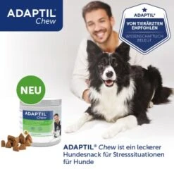 ADAPTIL Chew 30 Stück Anti Stress Snack 21 ADAPTIL Chew 30 Stück Anti Stress Snack -ROYAL CANIN Verkaufsgeschäft 1887391961c8f7380539d552ce8cb690c315212c 1374744 9