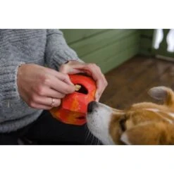 Ruffwear Gnawt-a-Rock™ Spielzeug Blau -ROYAL CANIN Verkaufsgeschäft 18a32f6fd206d1a1fd4df8bb6663cd33f769d9d5 1639879 de DE b243dd683d9144eaac7a8d1e460c634ef96ee8c8AtipD6