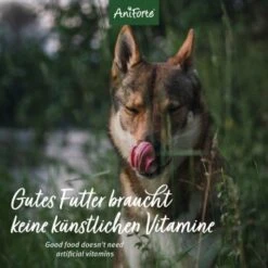Aniforte Pferd Pur 2,4 Kg -ROYAL CANIN Verkaufsgeschäft 18e6c8000d4fc4f795115c1f1e69ba3ee23968e4 1422180 de DE 12b8cfe33ee675107bc8329d05c3a48ecec8adbaMtB9Rv
