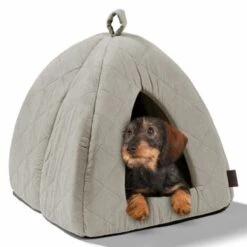 MORE Höhle Diamond -ROYAL CANIN Verkaufsgeschäft 1901edb64570eb8cb38c0e72458280ff138dcb40 856e9f8ef094dc77c4e2ce9e6d85768bffa721c6