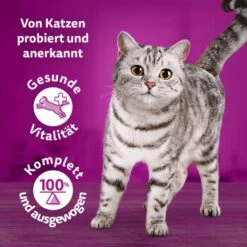 Whiskas Tasty Mix Multipack Chef's Choice In Sauce 60 X 85g -ROYAL CANIN Verkaufsgeschäft 1a0896467c0da700d9e0fc280bc0258026c8c9f0 1410719 de DE Whiskas 2 1