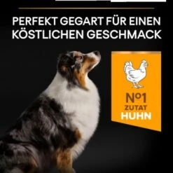 PRO PLAN Optiage Medium & Large Adult 7+ -ROYAL CANIN Verkaufsgeschäft 1baecd29b42572964d898fb5e60e386539c25fce 1206418 3