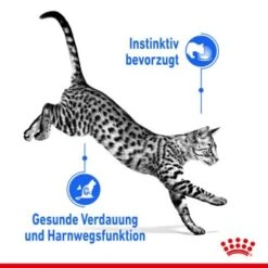 ROYAL CANIN Indoor Sterilised 12x85g In Gelee -ROYAL CANIN Verkaufsgeschäft 1bf9d609b9998b0ce738f1e4af7089787567ddbd bded06d91e43adbf2bf2d0ffe19d0e7dcc79167a