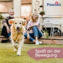 Pawlie's Gelenk Fit Tabletten Hund (100 Stück) 11 Pawlie's Gelenk Fit Tabletten Hund (100 Stück) -ROYAL CANIN Verkaufsgeschäft 1c6a6429b71eab5415d0214c381f07051a1fc258 1626201 de DE fc246e46dc05978124c2e49ef6a7667224e432edKNFNet