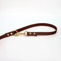 THE DOG IDEA Biothane Hundeleine Gold Braun -ROYAL CANIN Verkaufsgeschäft 1c8cd9b0731ffa61e1473f7dae13655ec00725f2 1655409 de DE 36fb03a29d24b171921bea38b1a2152a5aa8a118FdCE9v