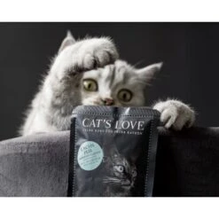 CAT'S LOVE Adult 12x85g Classic Lachs Pur Mit Distelöl & Petersilie -ROYAL CANIN Verkaufsgeschäft 1c9a2672dfb328bb30f4b05aa61a59c9c229f912 1274351 1