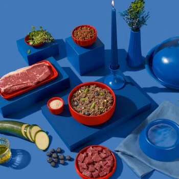 Fred & Felia FRED 10x390g Tim Raue Frankreich 7 Fred & Felia FRED 10x390g Tim Raue Frankreich – Bild 5