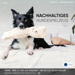 Freudentier Nachhaltiges Hundespielzeug Daniel -ROYAL CANIN Verkaufsgeschäft 1d76f528eae39671e4d1834457219c343008a2d3 1408970 de DE eaef6ecd52d3d4c991411f4325e77d342eb1ce7eIH205L