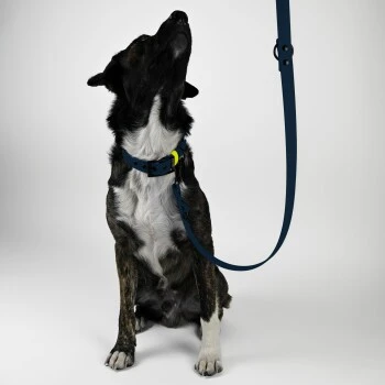 THE DOG IDEA Biothane Hundeleine Navy 4 THE DOG IDEA Biothane Hundeleine Navy – Bild 2