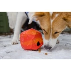 Ruffwear Gnawt-a-Rock™ Spielzeug Blau -ROYAL CANIN Verkaufsgeschäft 1df4ce0c3e2b13b9dde849014a9b4637ff5fbf94 1639879 de DE 625c8d7bd239fd4e64b055b3b2574c1b5400a391xF45nb