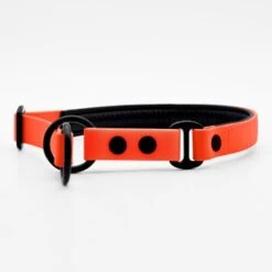 THE DOG IDEA Zugstopp Halsband Orange XS -ROYAL CANIN Verkaufsgeschäft 1ed8fefef63b371ec4cda43f60e91d6f1ca94f50 1499712 de DE a31f6753e5b48355b1f0f63cd519e5adcd14cfd067hyQ3