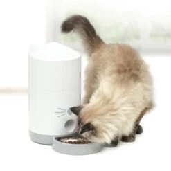 Catit Pixi Smart Futterautomat 19 Catit Pixi Smart Futterautomat -ROYAL CANIN Verkaufsgeschäft 1ffeee179884642eea5a2e9de8131d7805514020 e5c666843aea1e8ddb7fde2d8de9aefc2995717e