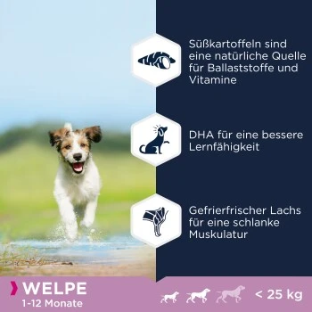 EUKANUBA Welpenfutter Getreidefrei Für Kleine Und Mittelgroße Rassen 3 Kg 4 EUKANUBA Welpenfutter Getreidefrei Für Kleine Und Mittelgroße Rassen 3 Kg – Bild 2