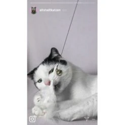 Kater Kasimir Premium Katzenangel Set Aus Buchenholz Mit 4 Handgemachten Anhängern -ROYAL CANIN Verkaufsgeschäft 21dd16f50076a5d627c45258925f2847665d22a7 1422145 de DE ad7eb1e3270aeafca2a582afabb293db93269a7cF1epRY