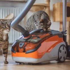 THOMAS AQUA+ Pet & Family -ROYAL CANIN Verkaufsgeschäft 21e8e8518abc51c946ca914e90765288e3a69832 1408595 de DE b89bf30d7c68d7291af3123da80a610e6c34da4duk7V17