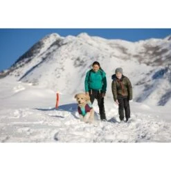 Ruffwear Gnawt-a-Stick™ Spielzeug Blau -ROYAL CANIN Verkaufsgeschäft 2246c88048d09d53fa487f072b22d14e4a2e33ef 1639653 de DE 5f53794cf035e2b111cadee76ead9defd3616d73NuZA0y