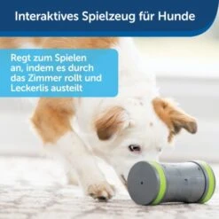 PetSafe Selbstbewegendes Belohnungsspielzeug Kibble Chase -ROYAL CANIN Verkaufsgeschäft 232030f86f814de36b46e922b9019b2a80aa0a4a 1418726 de DE cabfebb8ef64f9f8a7009d6c5080cb046558ff00b0jRo2