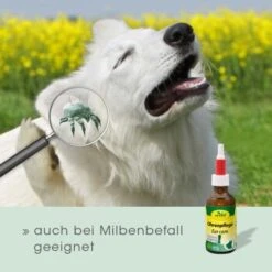 CdVet Ohrenpflege 20ml 14 CdVet Ohrenpflege 20ml -ROYAL CANIN Verkaufsgeschäft 2386a46bf75eb25a2a58bb81c9cd714b7c11735b 1033310 de DE 913b3fb28cb4c7cbb549b216ae11f3b04ff5ee25egJatt