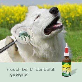 CdVet Ohrenpflege 20ml 8 CdVet Ohrenpflege 20ml – Bild 6