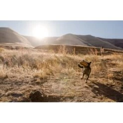 Ruffwear Hover Craft™ Spielzeug Orange -ROYAL CANIN Verkaufsgeschäft 23f3ce0fb188e4f5a253007adc90481d6747961b 1364297 de DE e44fe3627eb338195cfdd7c589598a8edb05def2xpzXS1