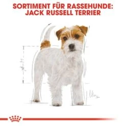 ROYAL CANIN Jack Russell Terrier Adult 7,5 Kg 12 ROYAL CANIN Jack Russell Terrier Adult 7,5 Kg -ROYAL CANIN Verkaufsgeschäft 23f4a1c361b3cd7c533f6a8a2a968ced135f4fa1 d1327eec1553ad2cb3d84080903c760dc7c2a628