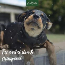 Aniforte Welpen Shampoo Aloe Vera 200ml -ROYAL CANIN Verkaufsgeschäft 24d06fb25fbbde7faf20913bac088bf6a89c27e4 1441193 de DE c896ce749721f4cfba0f719b91337abb758fb3f7kULxwC