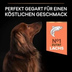 PRO PLAN Optiderma Small & Mini Adult Sensitive Skin 3 Kg -ROYAL CANIN Verkaufsgeschäft 24fea738853bcb740899bd0177404be765200d61 1206421 5