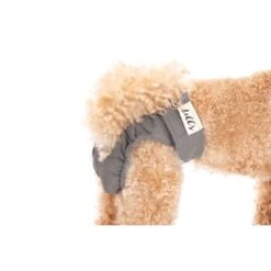 Lills Läufigkeitshöschen "Lou" Pink Berry Grau XXL -ROYAL CANIN Verkaufsgeschäft 2510182477e0473189522ab4c4eec9318a5ab186 1662393 de DE e81483ca839e45ba2b9fb54d71ddd02dbfa55b06LbZw0y