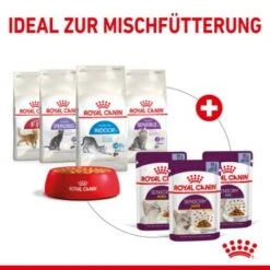 ROYAL CANIN SENSORY Smell In Gelee Für Wählerische Katzen 12x85g -ROYAL CANIN Verkaufsgeschäft 25c7f2b0017090b05172a164b94d24299f626039 5b9b3776479c43ed4449b8634046c65b7d96c1fe