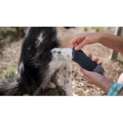 Ruffwear Bark'n Boot Liners™ Socken M -ROYAL CANIN Verkaufsgeschäft 2835dda8cd15e33a659ec5080d162d132daa0859 1363986 de DE b8adaab7095817086a79f83ae1a26d9c3b5c1b8bAgOMlL