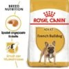 ROYAL CANIN Französische Bulldogge Adult 9 Kg -ROYAL CANIN Verkaufsgeschäft 28a9c2ebd874366b443fd9679403ab3cdbeda15d 0c7f34bd494e1bbfa0c20fedec846498ffd5d50c