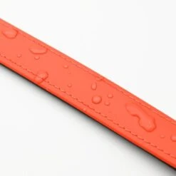 THE DOG IDEA Zugstopp Halsband Orange XS -ROYAL CANIN Verkaufsgeschäft 29028282ec62e4f2fbe621140f8a7fc34496d67d 1499712 de DE 901b5fdf82b8970fecaffec5797611725105dee6o598VI