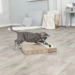 Trixie Kratzpappe Mit Spielzeug 10 Trixie Kratzpappe Mit Spielzeug -ROYAL CANIN Verkaufsgeschäft 2922fdbeca6faf723a69257e5e81b0da65bcea01 149772bd00e8a047fa4bf8b07169295e296775d1