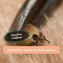 BeG Buddy Fellspray Zecke -ROYAL CANIN Verkaufsgeschäft 297119792bee87c54c4080010b8d6149223d300c 1457254 de DE b0426d8711049b0aafb9b17aaa93a89672536d279Kmo8x