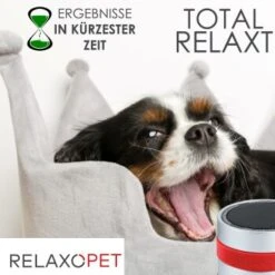 RelaxoPet PRO Entspannungs-Trainer HUND -ROYAL CANIN Verkaufsgeschäft 2a2890af55504b316fb288b48c33f73cd8cd6818 1315705 de DE 86a89a3dec2d79cadfd859276b25e24b347ce6a68JwiKQ
