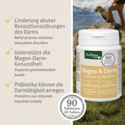 Aniforte Plus Magen & Darm 90 Tabletten -ROYAL CANIN Verkaufsgeschäft 2a3cde23c6370f9f2b3c0f328e6e879ab3ea635e 1455900 de DE b81094d53e104e298c3a8f2f08a9ee6cfbb4af037NutxR