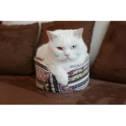 Canadian Cat Company Katzenschiff LUNA -ROYAL CANIN Verkaufsgeschäft 2a794931f9263820d298c92486fc08c7b5fe3a35 1412669 de DE 46780a4b5da8fe052e5be00462eb02991658c41f2ZgeMs