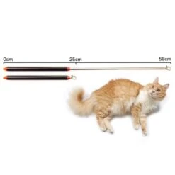 Schlitzohr Stabile Katzenangel Arnold -ROYAL CANIN Verkaufsgeschäft 2b03aaa8061d454c3b132f3d29075b579f022315 1484671 de DE 4db6a969e0582cf4b987acff93cb66c6c6149da6OAB1hx