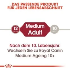 ROYAL CANIN MEDIUM Adult 10x140g 12 ROYAL CANIN MEDIUM Adult 10x140g -ROYAL CANIN Verkaufsgeschäft 2bc51ee6ce6ca6764ae5b934f9ec27fdf3d98c24 9003579008362 2