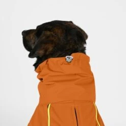 THE DOG IDEA Regenmantel Duke Orange XXXS -ROYAL CANIN Verkaufsgeschäft 2c464c8150423d80739b1409ce956e12c7928827 1473000 de DE 974a3540330c77e50b2a59dc10e705f1dbfc6716V9PfXa