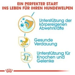 ROYAL CANIN Bulldog Puppy 12 Kg 16 ROYAL CANIN Bulldog Puppy 12 Kg -ROYAL CANIN Verkaufsgeschäft 2d0f51918b73b4a1a37a003d645905e2550cb19f 14b3675440275b362b52491ec4b55f2269291145