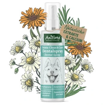 Aniforte Dentalspray Zahnpflege Spray 100ml 3 Aniforte Dentalspray Zahnpflege Spray 100ml