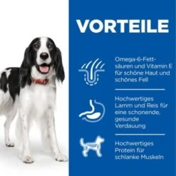 Hill's Science Plan Medium Adult 1-6 Lamm & Reis 18 Kg -ROYAL CANIN Verkaufsgeschäft 2eb5e8e2e65a629fb02a740e6a3d088b7c2bb774 52742025865 4