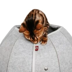 Canadian Cat Company Katzenhöhle In Kugelform S -ROYAL CANIN Verkaufsgeschäft 2ecb868df2d3b2cf90a9092caebd3c19caa20008 1347679 de DE 9620a1f8944edc55aec2b992d490644e015c022abD41s1