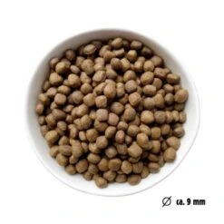 Eat Small EatSmall 2kg Mini Balance Trockenfutter -ROYAL CANIN Verkaufsgeschäft 2fab510faabbdb321240dcdc4e2325f2c9525161 1450725 de DE ef1a1257b12edf1ce0a516e027bab83024c70daeuHLglD