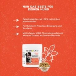 MediDog Gelenk Aktiv Tabletten -ROYAL CANIN Verkaufsgeschäft 3027f6efc117ea48bd3ed7820fc741377f2b9f33 1660400 de DE 429a291c7d912553ea91e08a9b8a26c9865c5c61kPI0zV