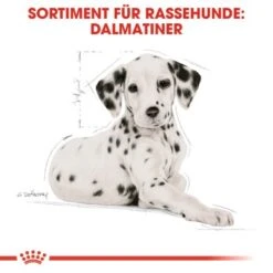 ROYAL CANIN Dalmatian Puppy 12kg -ROYAL CANIN Verkaufsgeschäft 3036b86ea4ce88871062b93c88ca9a8de810c8ed 68024b37a164808455acf8365f33d66401b0231f